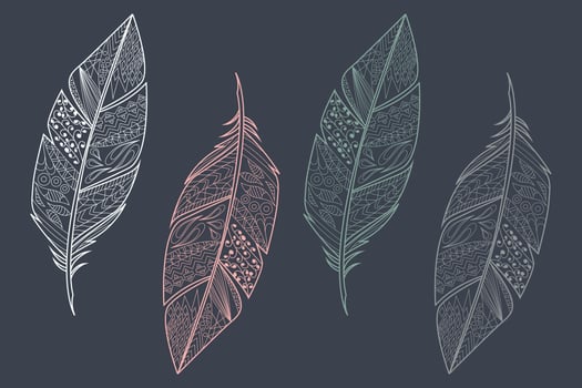 Collection of vintage tribal ethnic hand drawn colorful feathers vector