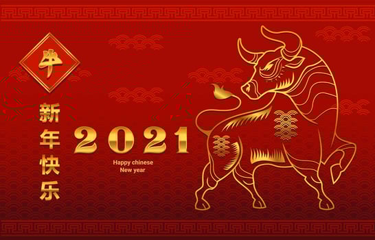 Celebrating Chinese Ox New Year vector