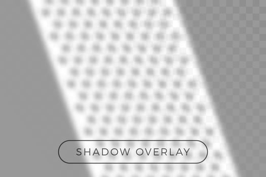 Dotted shadow realistic grey vector