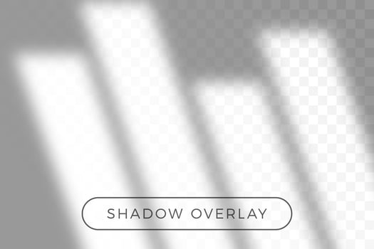 Overlay shadow of natural lighting vector