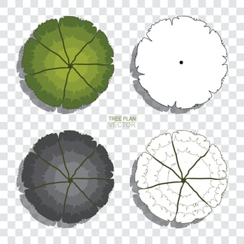 Tree plan. Abstract drawing sketch set for landscape design. Vector. vector