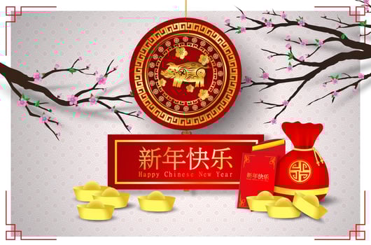Happy Chinese New Year of the Pig asian banner vector