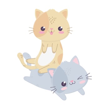 cute funny little cats kawaii cartoon character vector