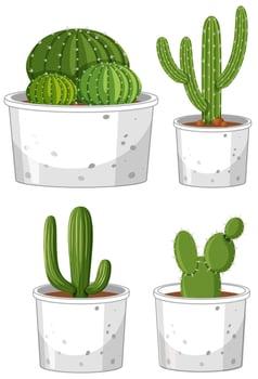 Set of different cactus in pot on white background vector
