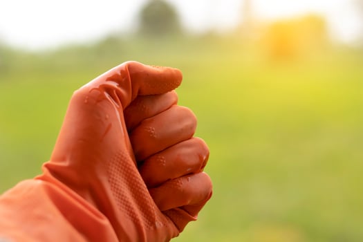 A handful of farmers who wore gloves. photo