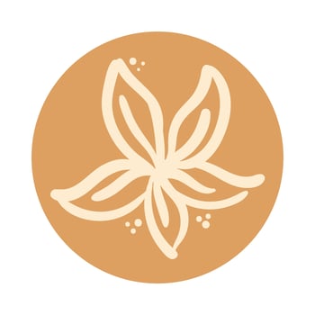 flower garden boho hand draw style vector