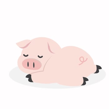 sleeping pig Cartoon Vector