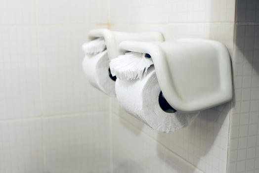 Toilet paper rolls photo