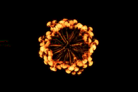 Fire design on black background photo