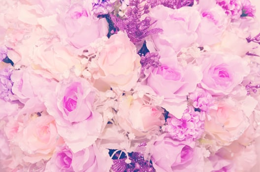 Pink rose flower photo