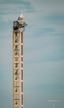White and black metal tower photo