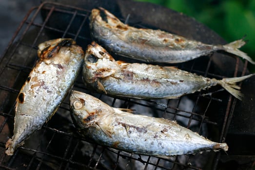 grilled mackerels on stove photo