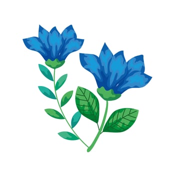 cute flowers blue with branches and leafs isolated icon vector