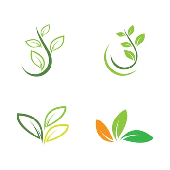 Ecology logo images vector