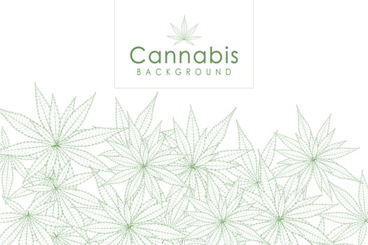 Green cannabis leaf drug marijuana herb background vector