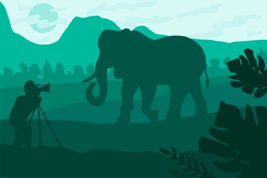 Wildlife photographer flat illustration vector