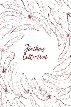 Hand drawn feathers vector