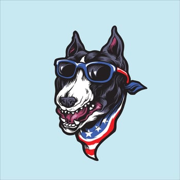 American Pitbull Terrier dog wearing sunglasses vector