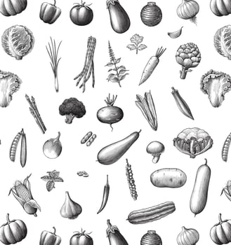 Vegetables collection pattern hand draw vintage style black and white isolated on white background vector
