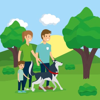 Family doing outdoors activities vector