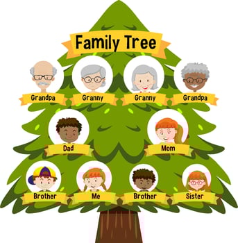 Diagram showing three generation family tree vector