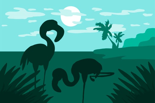 Standing in the water flamingo vector