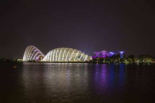 Super trees and buildings in Singapore photo