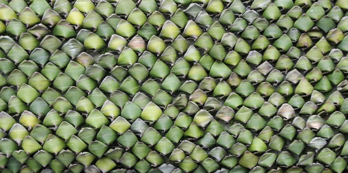 Banana leaf texture photo
