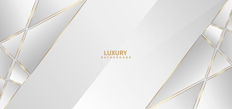 Abstract white background with golden line luxury. vector
