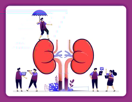 design illustration for kidney disease and treatment. insurance for internal organs. simple kidneys for props. Design can use for website, web, landing page, banner, mobile apps, ui ux, poster, flyer vector