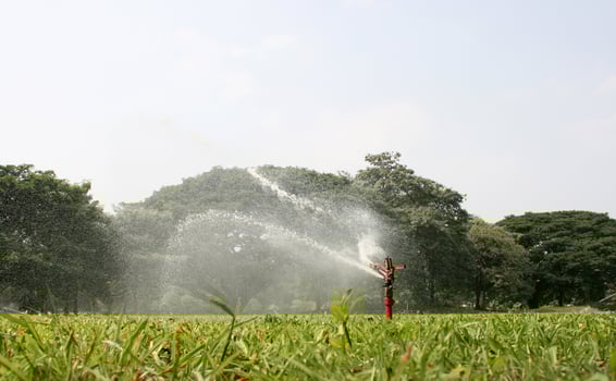 Sprinkler head watering the grass photo