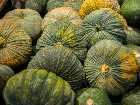 Group of green pumpkins photo