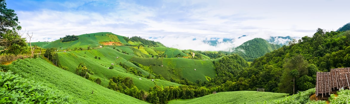 Lush green mountains photo