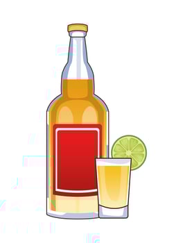 tequila bottle and cocktail cup mexican drink vector