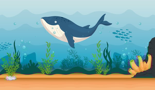 blue whale in the ocean, sea world dweller, cute underwater creature vector