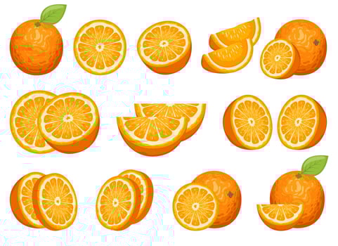 Delicious orange fruit vector design set illustration isolated on white background