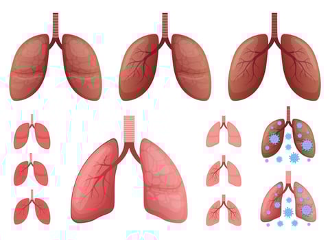 Lungs vector design illustration set isolated on white background