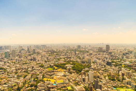 Aerial view of Tokyo city, Japan photo