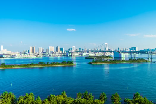 Cityscape of Tokyo city with the Rainbow bridge photo