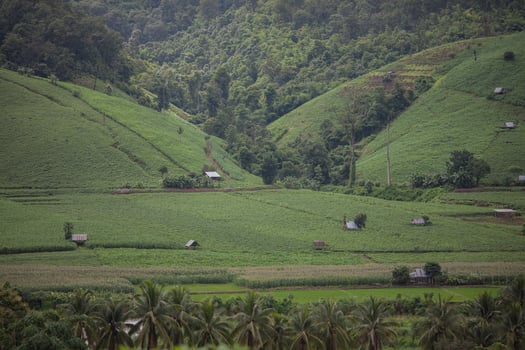 Lush green mountains photo