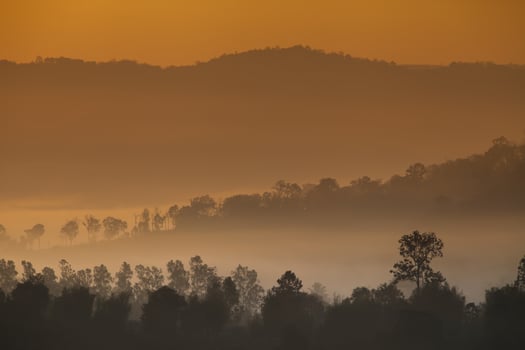 Sunrise over foggy mountains with trees photo