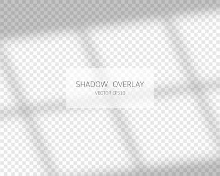 Shadow overlay effect. Natural shadows from window isolated on transparent background. Vector illustration.