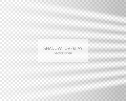 Shadow overlay effect. Natural shadows from window isolated vector