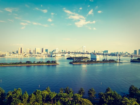 Beautiful cityscape with Rainbow bridge in Tokyo city, Japan photo