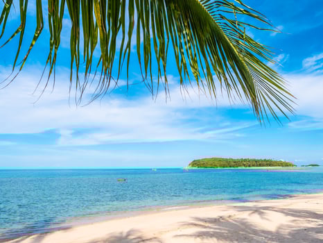 Beautiful tropical beach photo