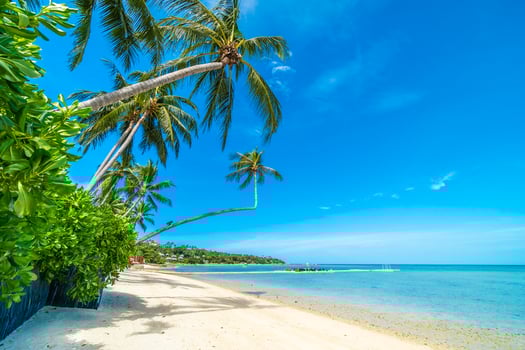 Beautiful tropical beach photo