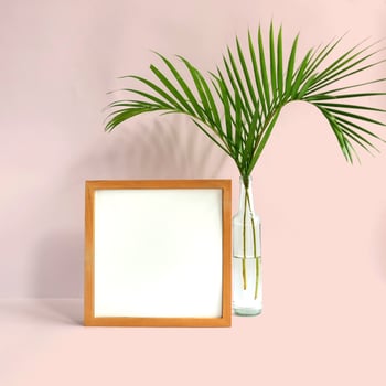 Blank frame with plant on pink background photo