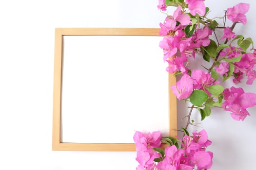 Blank frame with plant on white background photo