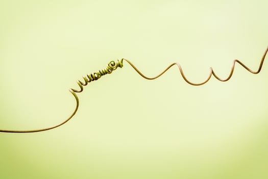 Spiral stem of vine photo