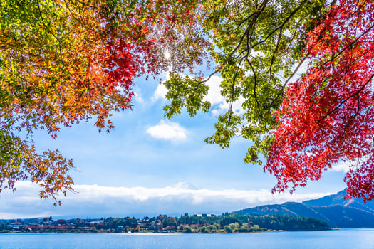 Landscape at Mt. Fuji in Japan in autumn photo